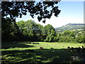 Grass field near Upper Cwm