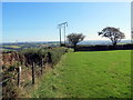 Llwybr Ceffyl ger Fforest-Cerdin / Bridleway near Fforest-Cerdin