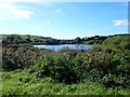 Cornahave Lough from the Loughross Road