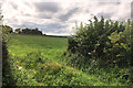 Field to the North of Tyndale Road