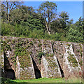 SJ9949 : Former lime kilns at Consall Forge in Staffordshire by Roger  D Kidd