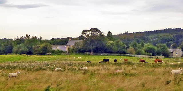 Stockfield Hall Farm