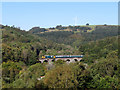 Class 37 on Bargoed Viaduct