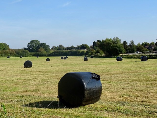 Wrapped hay bales by Longhedge Lane