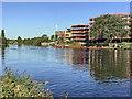 Trent Basin and The Yacht Club Riverside