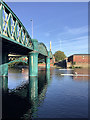 Scullers at Lady Bay Bridge