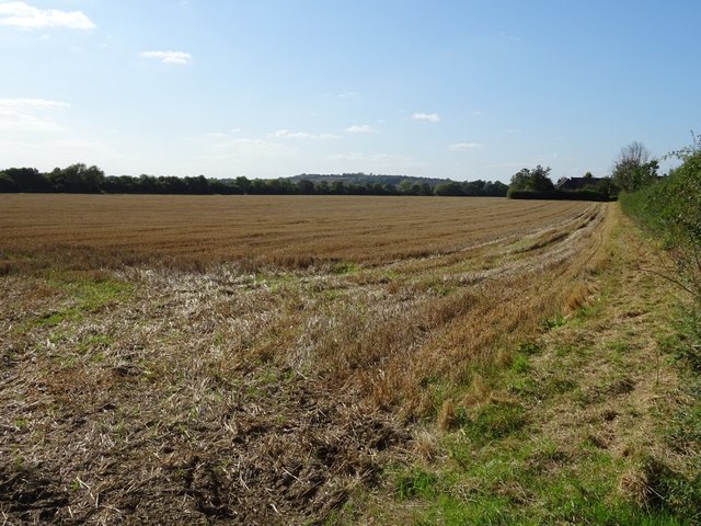 Field beside Sheep Leys Farm