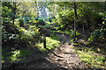 Bike path off Marquis