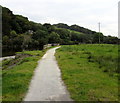 National Cycle Network Route 8 at the northern edge of Powys