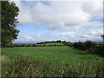 W4495 : Grass fields at Ballybonnell by Jonathan Thacker