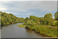 NY3857 : River Eden, Etterby by Robin Webster