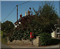 Postbox, Diptford