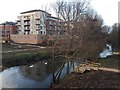 Flats in the floodplain, the Waterfront development, Warwick