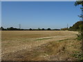 Stubble field near Town Farm