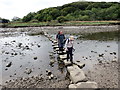 Cerrig Camu Cresswell / Cresswell Stepping Stones