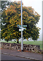 Signs on Larkfield Road