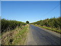 SP7624 : Hogshaw Road towards Granborough  by JThomas