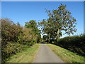 National Cycle Route 51 near Winslow