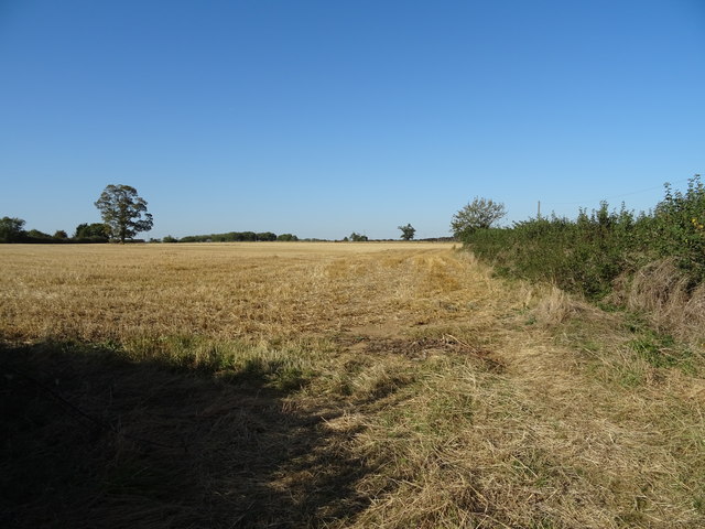 Stubble field and hedgerow near... © JThomas cc-by-sa/2.0 :: Geograph ...