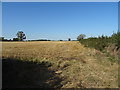 Stubble field and hedgerow near Abovemead Farm