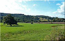 SK2663 : Fields in Darley Dale by Mary and Angus Hogg