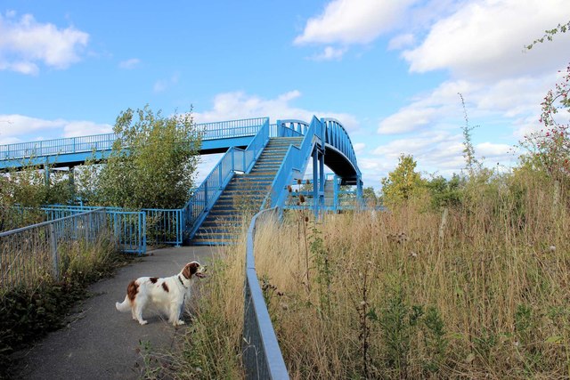 First sight of the A428 footbridge from the path to Dry Drayton