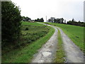 W5691 : Track to a farm near Mourneabbey by Jonathan Thacker