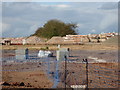 New housing development off Newtown Road, Worcester