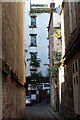 Hanging gardens of Queen Street