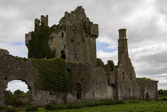 Castles of Munster: Ballygrennan, Limerick - revisited (2)