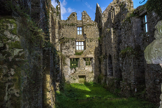 Castles of Munster: Burncourt, Tipperary - revisited (7)