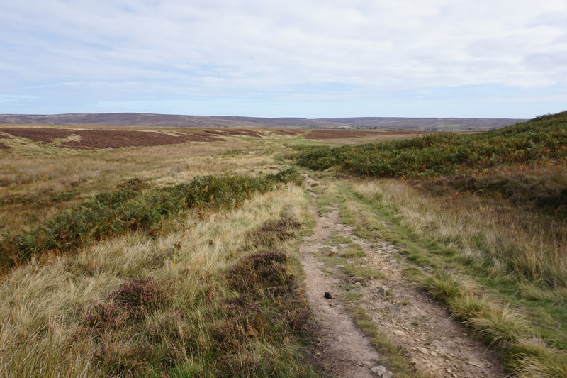 Path leading to Goathland © Ian S cc-by-sa/2.0 :: Geograph Britain and ...