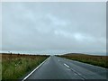 SX5182 : On the A386 by Andrew Abbott