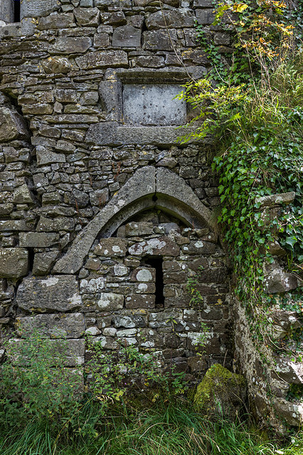 Castles of Munster: Farranrory, Tipperary (3)