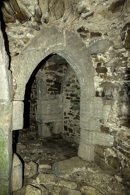 Castles of Munster: Farranrory, Tipperary (6)
