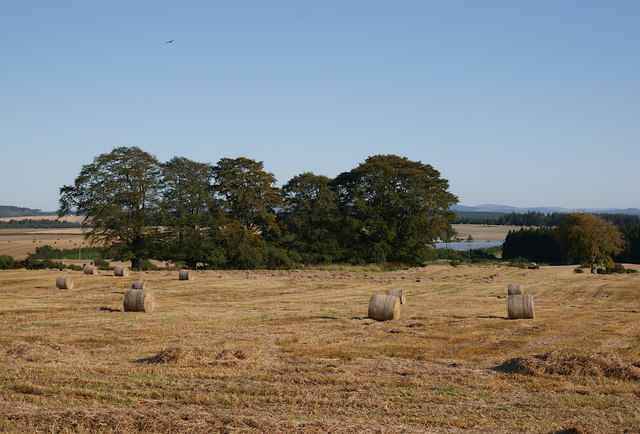Harvested field, by Torepark