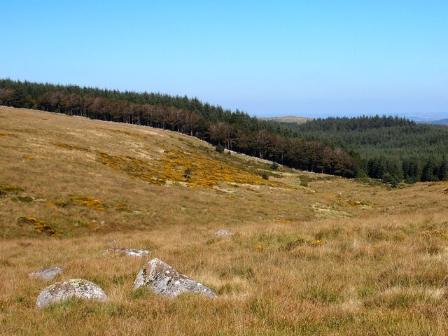 The View Towards Tom's Hill