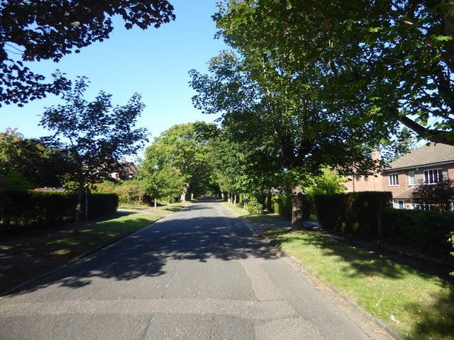 Beechwood Avenue, Little Chalfont © Marathon cc-by-sa/2.0 :: Geograph ...