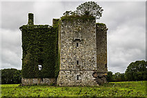 R0509 : Castles of Munster: Kilmurry, Kerry - revisited (7) by Mike Searle