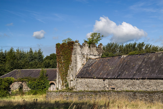Castles of Leinster: Stokestown, Wexford (1)