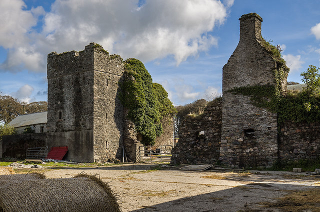 Castles of Leinster: Ballykeerogemore, Wexford (1)