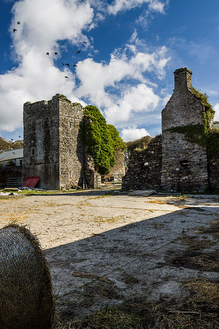 Castles of Leinster: Ballykeerogemore, Wexford (2)