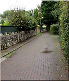 SS9769 : Windmill Lane between a stone wall and hedges, Llantwit Major by Jaggery