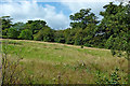 Pasture and woodland near Marple, Stockport