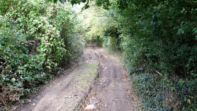 View north along Hobb's Lane © Evelyn Simak cc-by-sa/2.0 :: Geograph ...