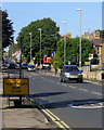 Temporary bus stop on Cherry Hinton Road