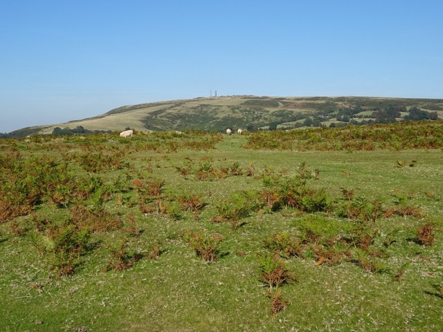Upland grazing on Brown Clee Hill