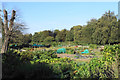 Christchurch Allotments