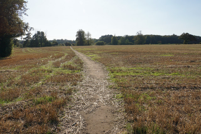 Harvested field near Pipe Green