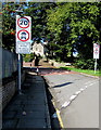 SS8975 : Start of the 20 zone, Heol-yr-ysgol, St Brides Major by Jaggery